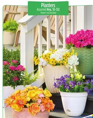 Dollar General Planters offer