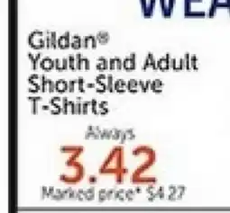 Hobby Lobby Gildan Youth and Adult Short-Sleeve T-Shirts offer