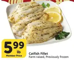 Albertsons Catfish Fillet offer