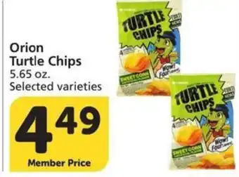 Orion Turtle Chips