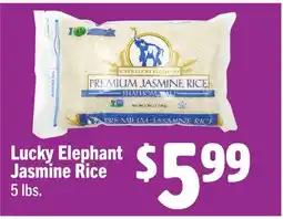 Vallarta Supermarkets Lucky Elephant Jasmine Rice offer