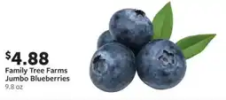 Fareway Family Tree Farms Jumbo Blueberries offer