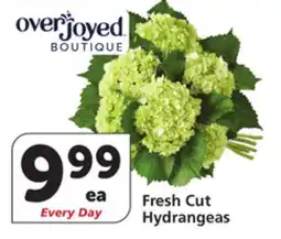 Vons Fresh Cut Hydrangeas offer