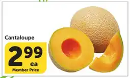 Vons Cantaloupe offer