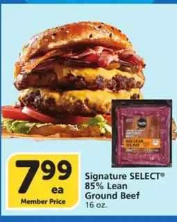 Albertsons Signature SELECT 85% Lean Ground Beef offer