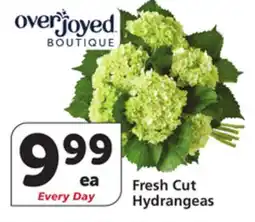 Albertsons Fresh Cut Hydrangeas offer