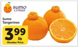 Albertsons Sumo Tangerines offer