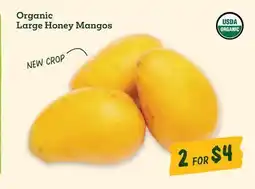 Sprouts Farmers Market Organic Large Honey Mangos offer