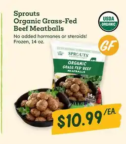 Sprouts Farmers Market Sprouts Organic Grass-Fed Beef Meatballs offer