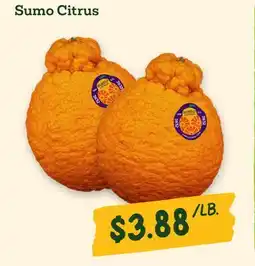 Sprouts Farmers Market Sumo Citrus offer