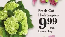 Pavilions Fresh Cut Hydrangeas offer