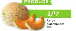 Heinen's Large Cantaloupes offer