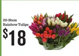 Mariano's 20-Stem Rainbow Tulips offer