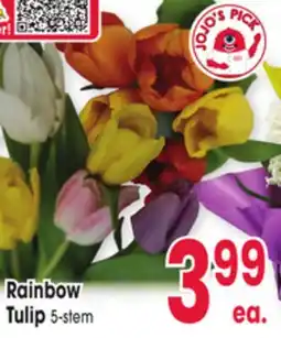 Jewel-Osco Rainbow Tulip offer