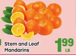 Tony’s Fresh Market Stem and Leaf Mandarins offer