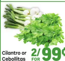 Tony’s Fresh Market Cilantro or Cebollitas offer