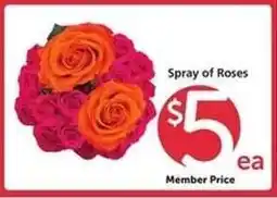 Safeway Spray of Roses offer