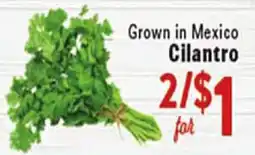 Rio Valley Market Cilantro offer