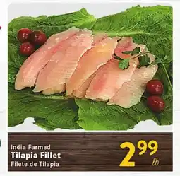 Rio Valley Market India Farmed Tilapia Fillet offer