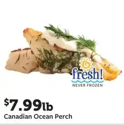 Fareway Canadian Ocean Perch offer