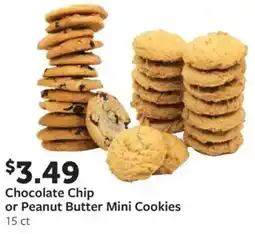 Fareway Chocolate Chip or Peanut Butter Mini Cookies offer