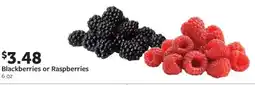 Fareway Blackberries or Raspberries offer