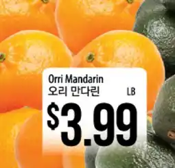 Hmart Orri Mandarin offer