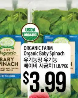 Hmart ORGANIC FARM Organic Baby Spinach offer