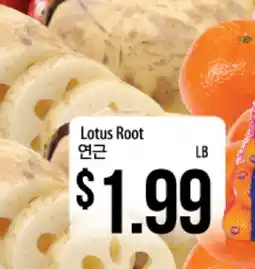 Hmart Lotus Root offer