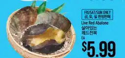 Hmart Live Red Abalone offer