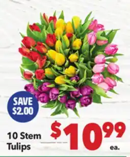 Vallarta Supermarkets 10 Stem Tulips offer