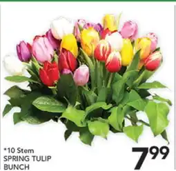 Pete's Fresh Market 10 Stem SPRING TULIP BUNCH offer