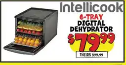 Ollie's 6-TRAY DIGITAL DEHYDRATOR offer