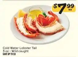 Winn Dixie Cold Water Lobster Tail offer
