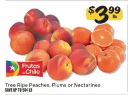 Winn Dixie Tree Ripe Peaches, Plums or Nectarines offer
