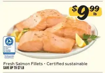 Winn Dixie Fresh Salmon Fillets offer