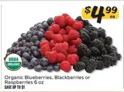 Winn Dixie Organic Blueberries, Blackberries or Raspberries offer
