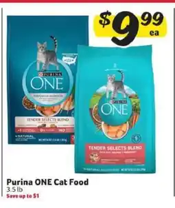 Winn Dixie Purina ONE Cat Food offer