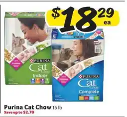 Winn Dixie Purina Cat Chow offer
