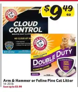 Winn Dixie Arm & Hammer or Feline Pine Cat Litter offer