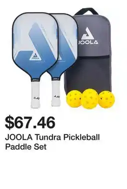 Dick's Sporting Goods JOOLA Tundra Pickleball Paddle Set offer