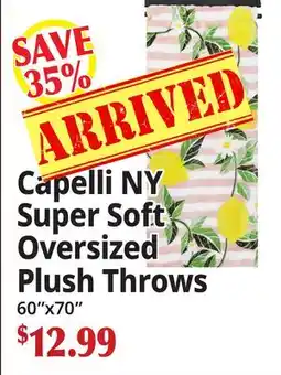 Ocean State Job Lot Capelli NY Super Soft Oversized Plush Throws offer