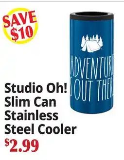 Ocean State Job Lot Studio Oh! Slim Can Stainless Steel Cooler offer