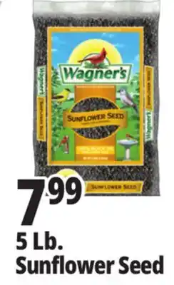 Ocean State Job Lot Wagner's Black Oil Sunflower Seed Wild Bird Food 5 lbs offer