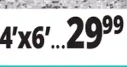 Ocean State Job Lot 4'x6' Printed Washable Area Rugs offer