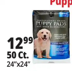 Ocean State Job Lot 24x24 Puppy Pads with Odor Eliminators 50 Count offer