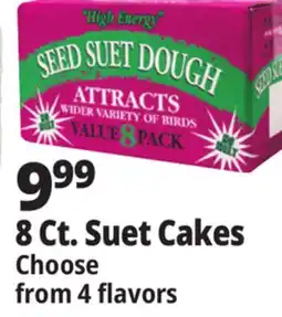 Ocean State Job Lot Seed & Suet High Energy Suet Value Pack 8 Count offer
