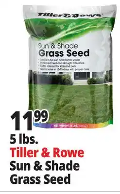 Ocean State Job Lot Tiller & Rowe Sun & Shade Grass Seed 5 lbs offer