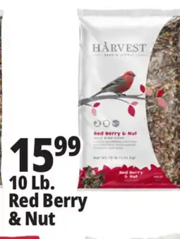 Ocean State Job Lot Harvest Seed & Supply Red Berry & Nut Wild Bird Food 10 lb offer