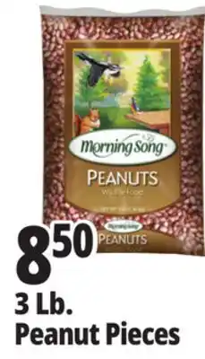 Ocean State Job Lot Morning Song Wildlife Food Peanuts 3 lbs offer